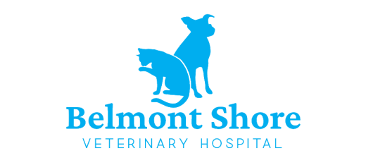 Belmont Shore Veterinary Hospital 1199 - Header Logo
